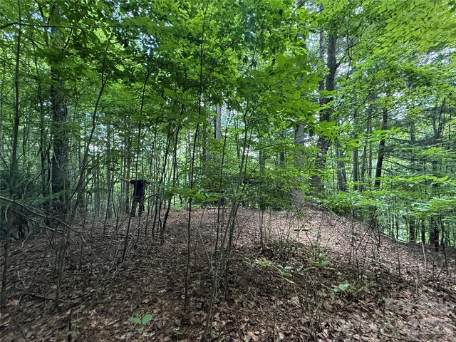99999 Walking Horse Trail, Candler, NC 28715