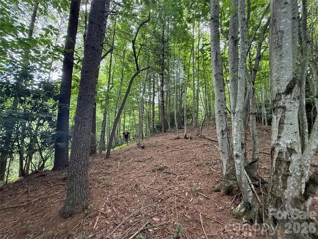 99999 Walking Horse Trail, Candler, NC 28715