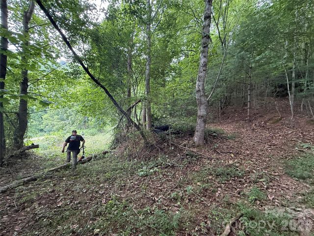99999 Walking Horse Trail, Candler, NC 28715