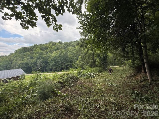 99999 Walking Horse Trail, Candler, NC 28715