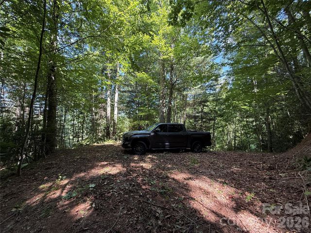 99999 Walking Horse Trail, Candler, NC 28715
