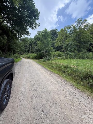 99999 Walking Horse Trail, Candler, NC 28715