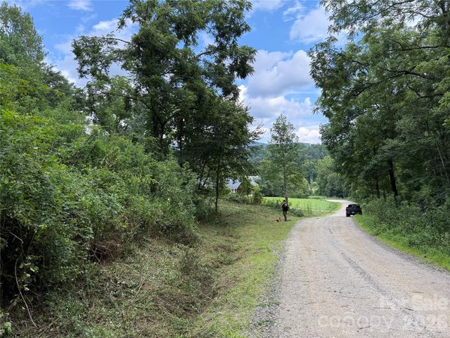 99999 Walking Horse Trail, Candler, NC 28715