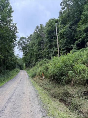 99999 Walking Horse Trail, Candler, NC 28715