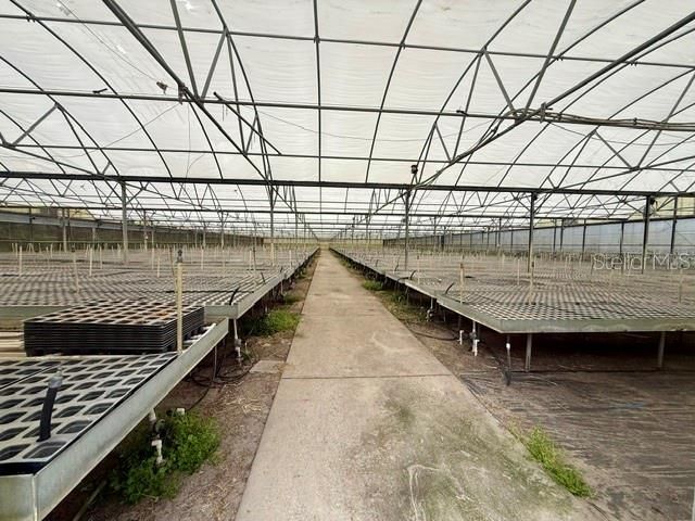 33322 COUNTY ROAD 437, Sorrento, FL 32776