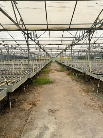 33322 COUNTY ROAD 437, Sorrento, FL 32776