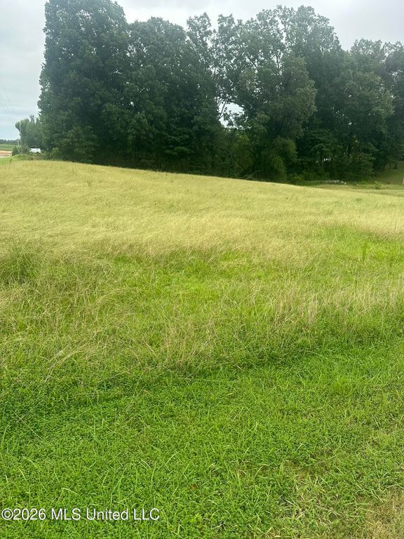 Landen Circle, Byhalia, MS 38611 — exterior