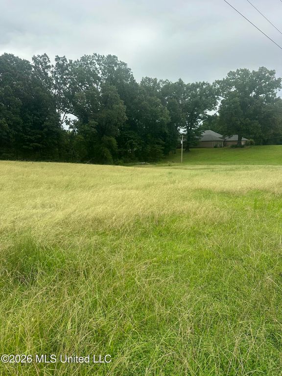 Landen Circle, Byhalia, MS 38611 — photo 3