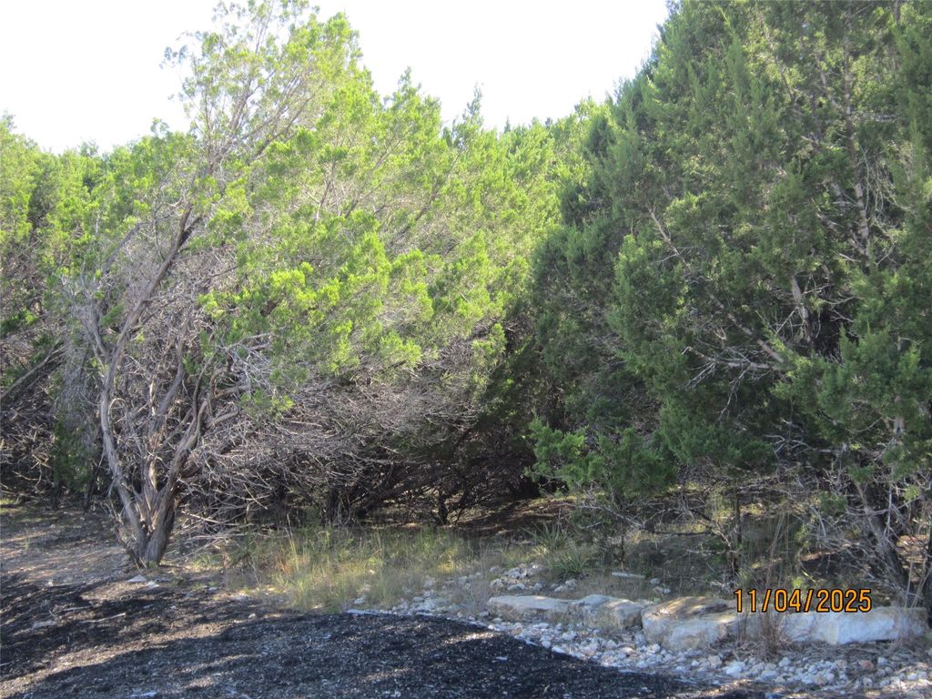 20903 Oak Dale DR, Lago Vista, TX 78645