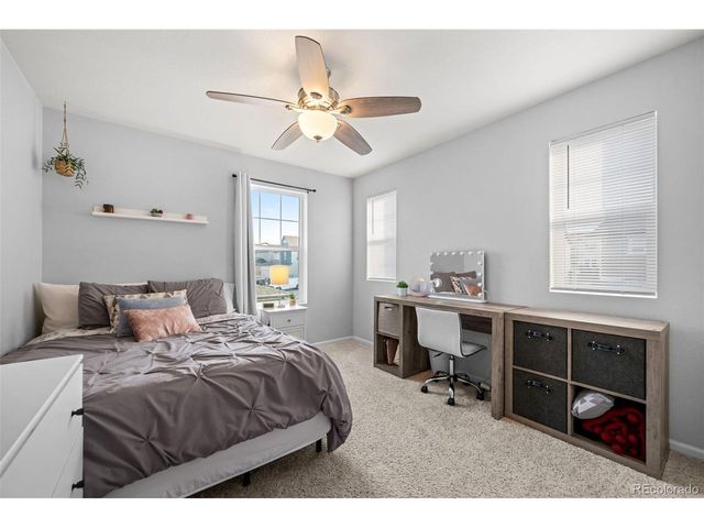 2928 Low Meadow Blvd, Castle Rock, CO 80109