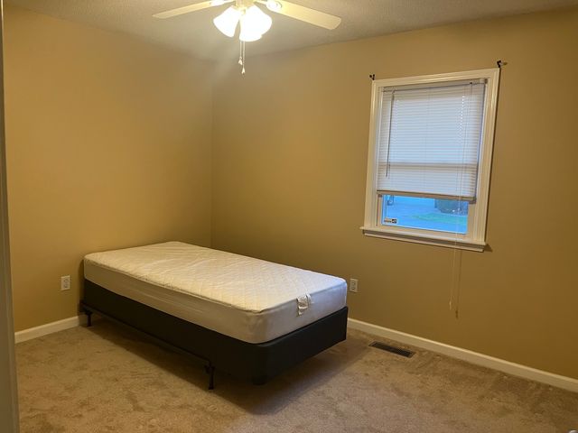 4 Acorn Drive, Harrisburg, IL 62946