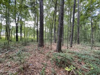 Eastside Drive, Newton, MS 39345