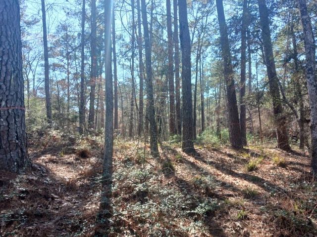 79 S Fairway Loop, Coldspring, TX 77331