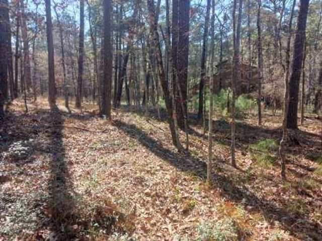 79 S Fairway Loop, Coldspring, TX 77331