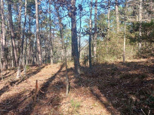 79 S Fairway Loop, Coldspring, TX 77331