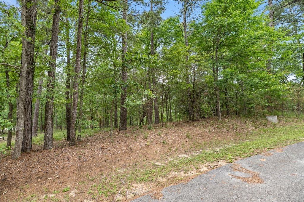 79 S Fairway Loop, Coldspring, TX 77331