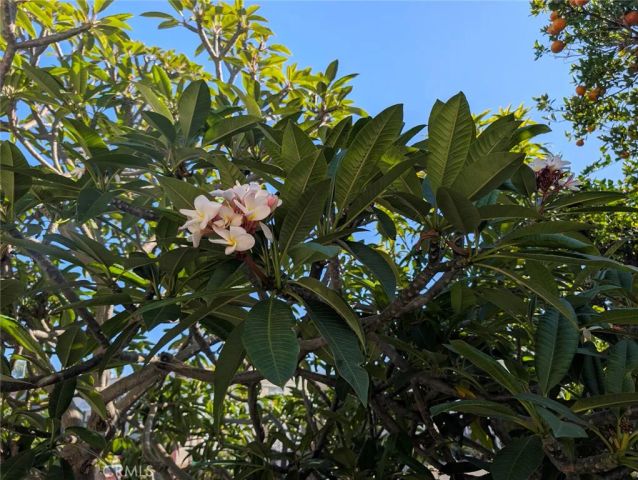 432 S Harbor 143, Santa Ana, CA 92704