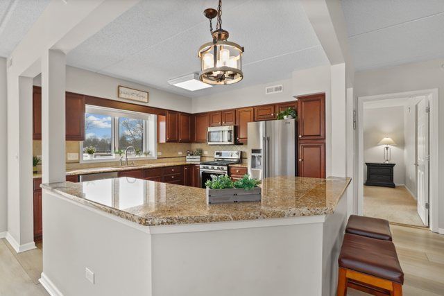 225 Main Street 214, Roselle, IL 60172