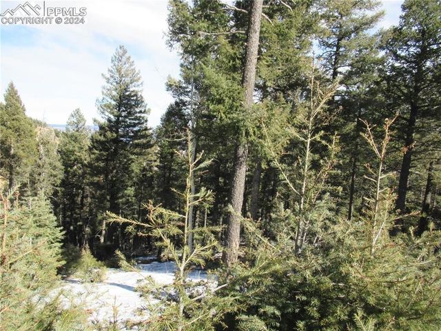 113 Steep Road, Manitou Springs, CO 80829