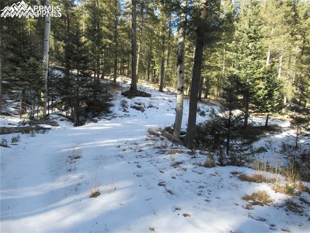 113 Steep Road, Manitou Springs, CO 80829