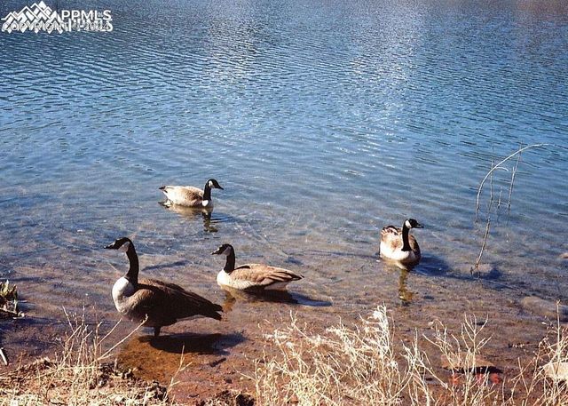 113 Steep Road, Manitou Springs, CO 80829