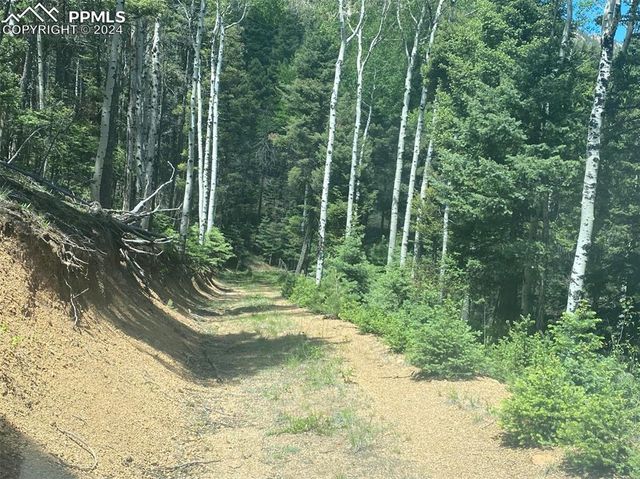 113 Steep Road, Manitou Springs, CO 80829