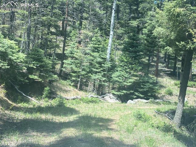 113 Steep Road, Manitou Springs, CO 80829