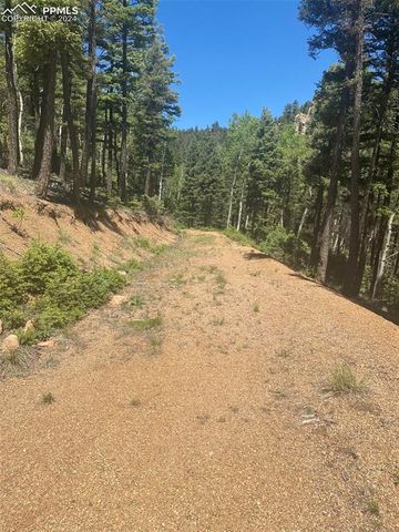 113 Steep Road, Manitou Springs, CO 80829