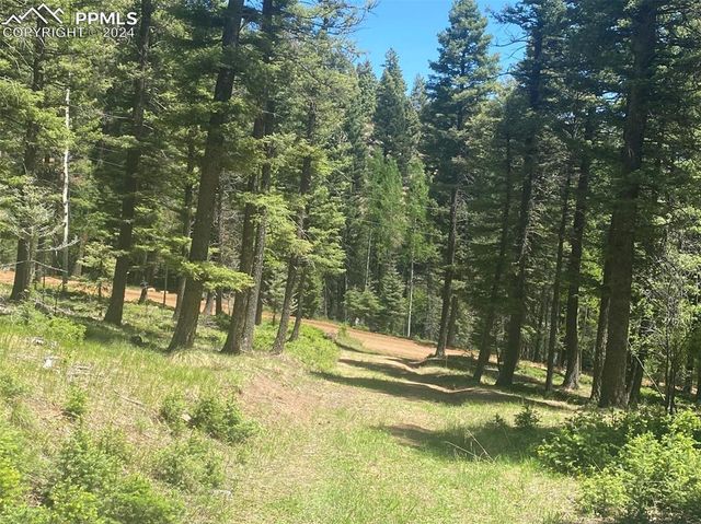 113 Steep Road, Manitou Springs, CO 80829