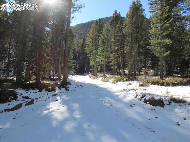 113 Steep Road, Manitou Springs, CO 80829