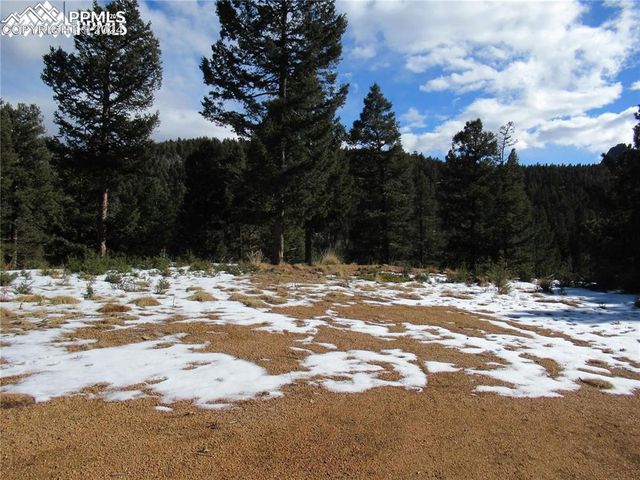 113 Steep Road, Manitou Springs, CO 80829