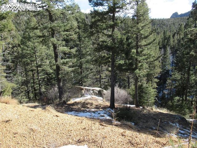 113 Steep Road, Manitou Springs, CO 80829