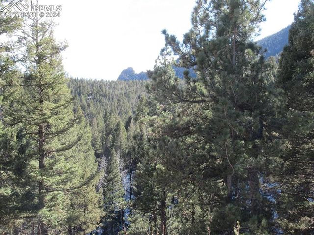 113 Steep Road, Manitou Springs, CO 80829