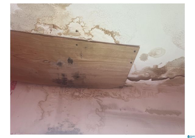 7204 ROME AVENUE, Birmingham, AL 35206