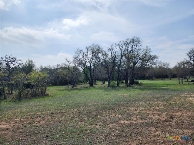 212 Oak Glen Lane, Briggs, TX 78608