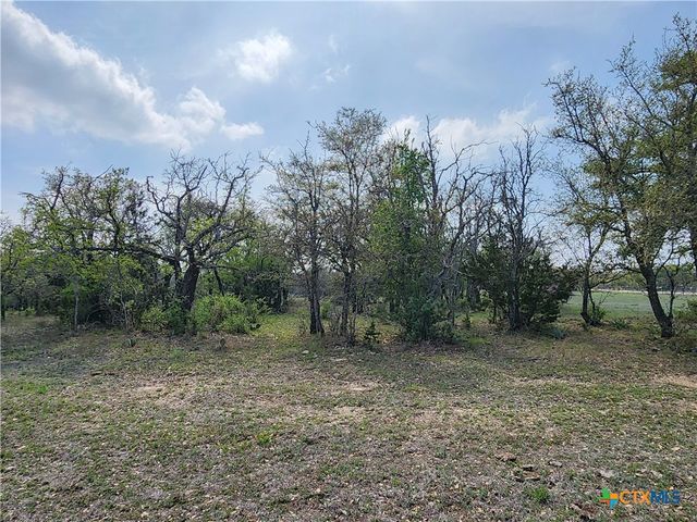 212 Oak Glen Lane, Briggs, TX 78608