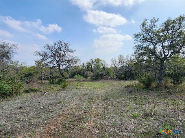 212 Oak Glen Lane, Briggs, TX 78608