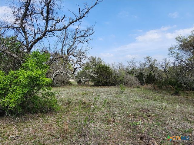 212 Oak Glen Lane, Briggs, TX 78608