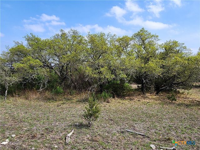 212 Oak Glen Lane, Briggs, TX 78608