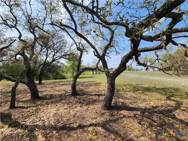 212 Oak Glen Lane, Briggs, TX 78608