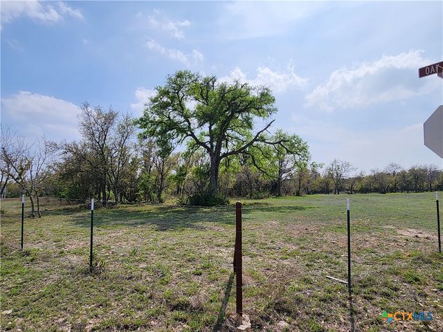 212 Oak Glen Lane, Briggs, TX 78608
