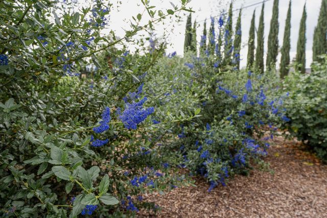 3409 Mansfield Ln, Modesto, CA 95350