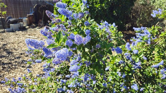 3409 Mansfield Ln, Modesto, CA 95350