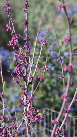 3409 Mansfield Ln, Modesto, CA 95350