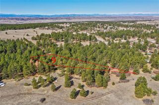 8988 Tanglewood Road, Franktown, CO 80116