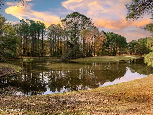 111 Loblolly Court, Wallace, NC 28466