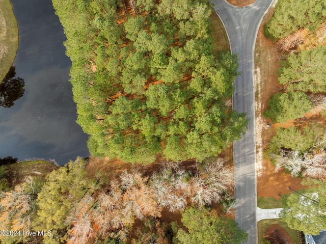 111 Loblolly Court, Wallace, NC 28466