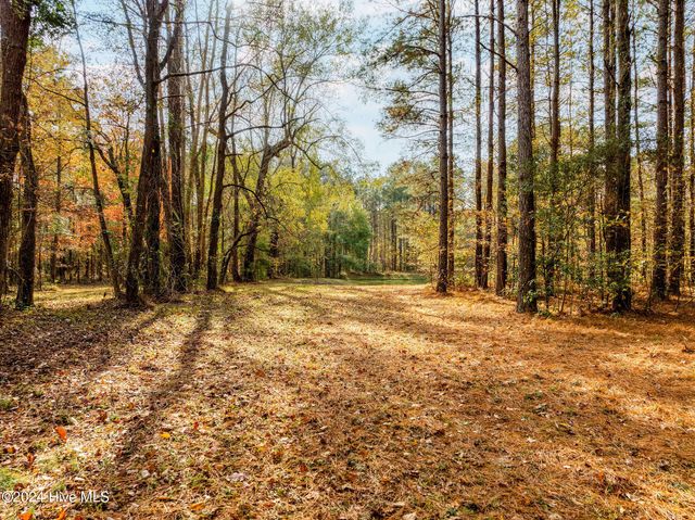 111 Loblolly Court, Wallace, NC 28466