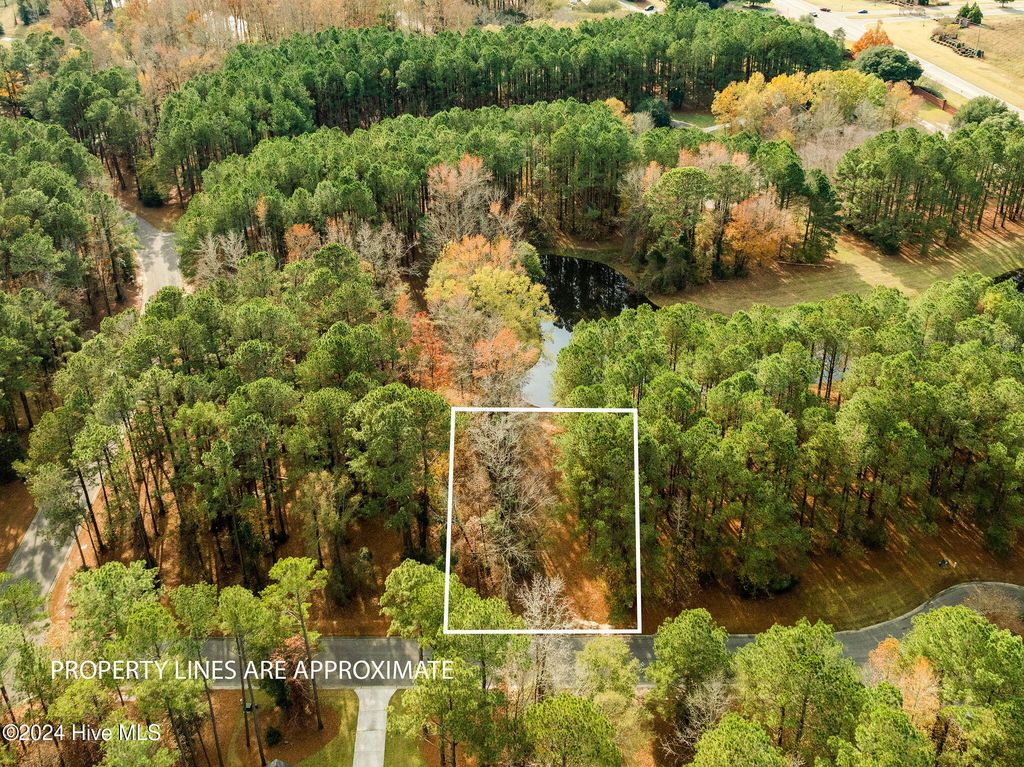 111 Loblolly Court, Wallace, NC 28466