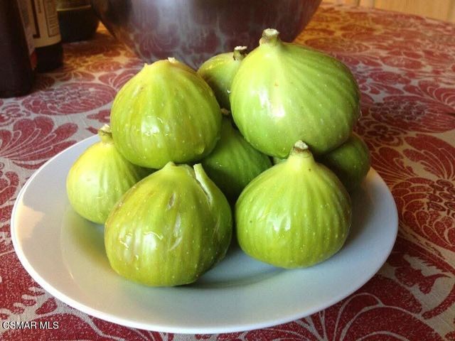 5043 Evanwood Avenue, Oak Park, CA 91377